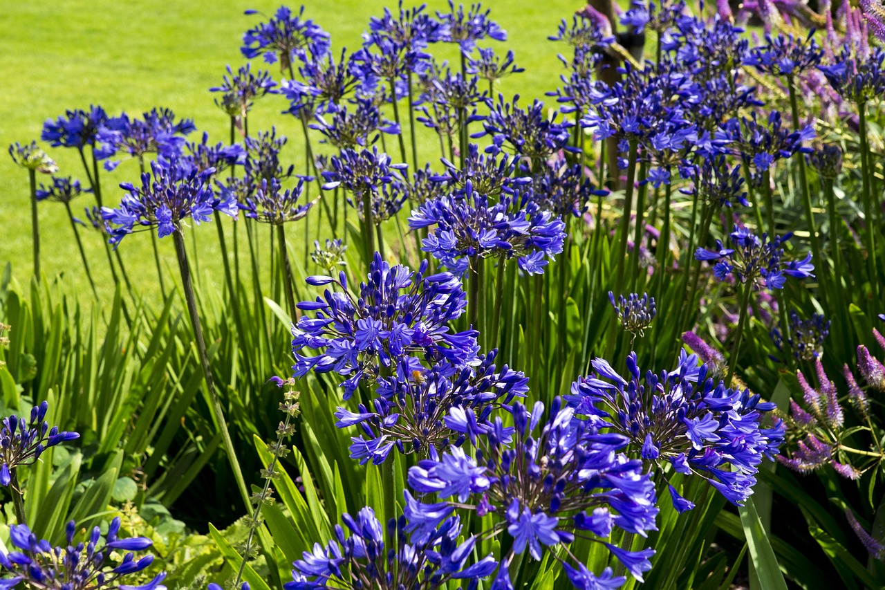 Writtle University College students visit Hyde Hall