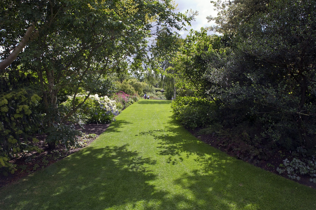 RHS Garden Hyde Hall in summer.