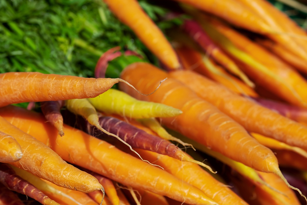 Carrots in a pile after pulling.