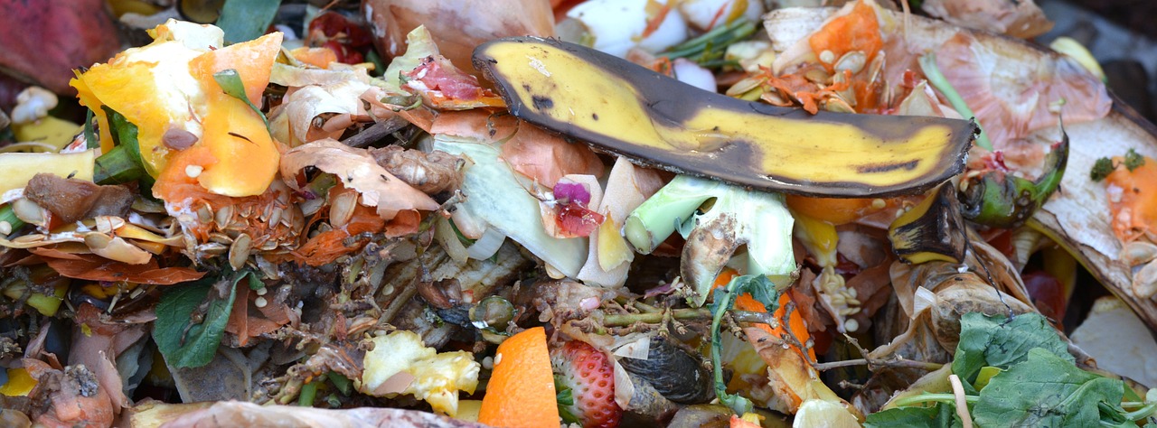 Peelings in a compost heap roting away.