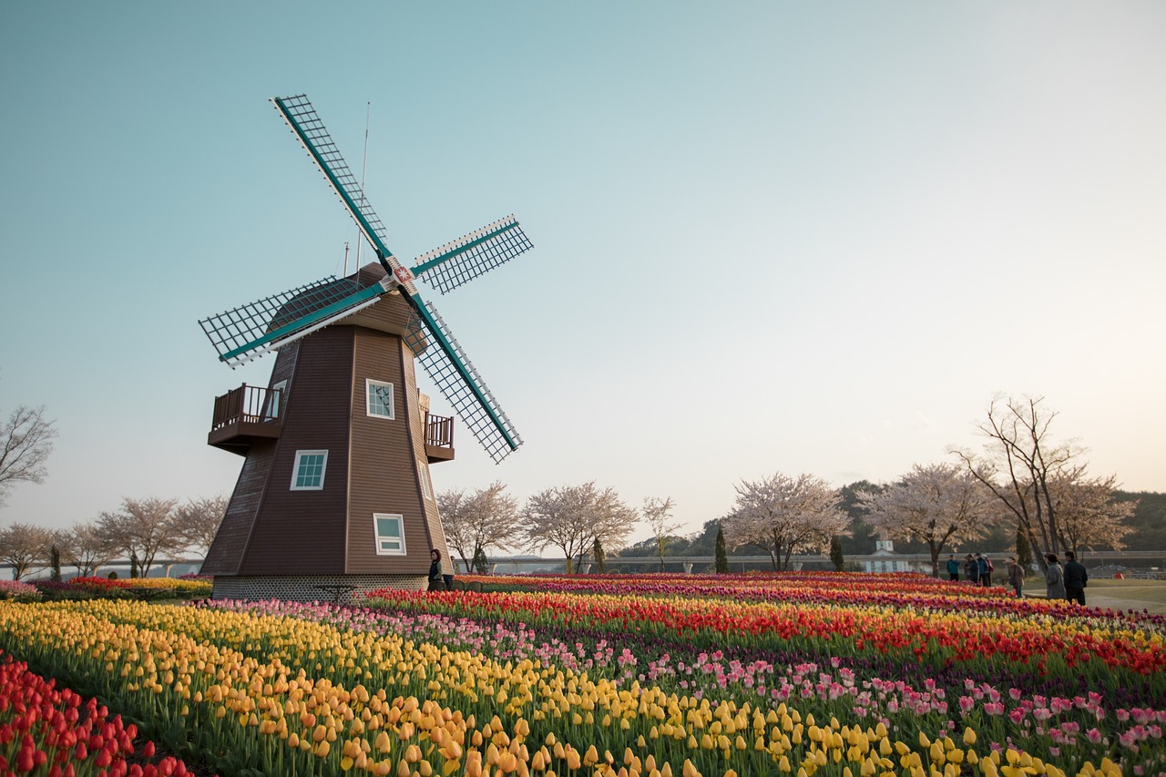 Ken Crowther looks at Dutch gardens and styles