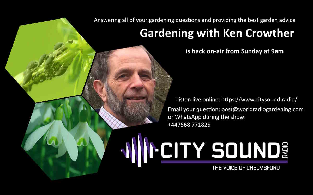 Gardening with Ken Crowther is back on live radio this morning from 9am