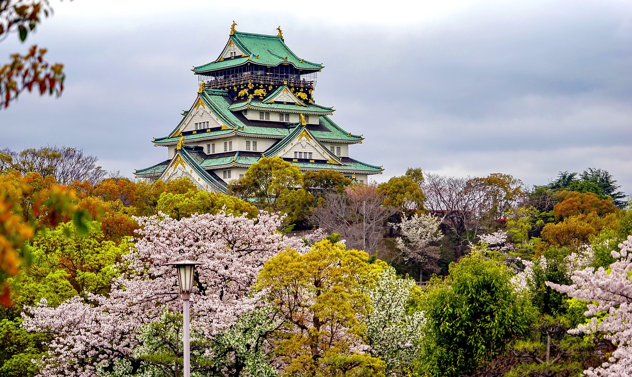 Cherry blossoms in a Japanese garden.