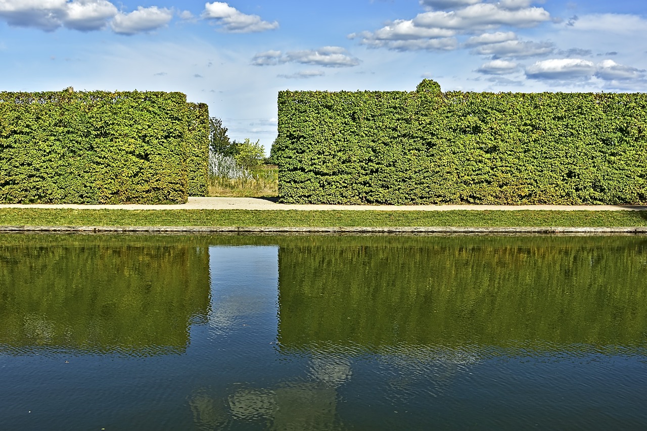 Hornbeam hedges clipped and by a pond.