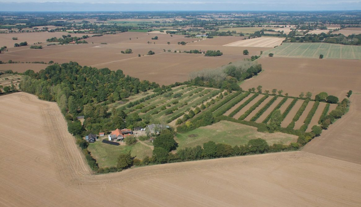 Wakelyns farm in Suffolk.