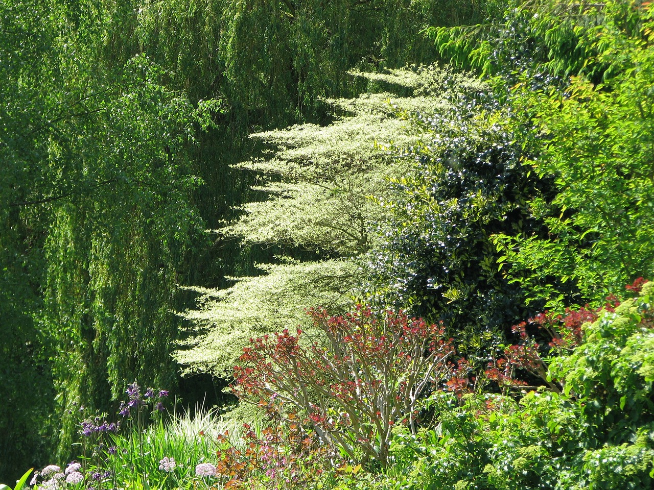 Beth Chatto gardens in Essex.