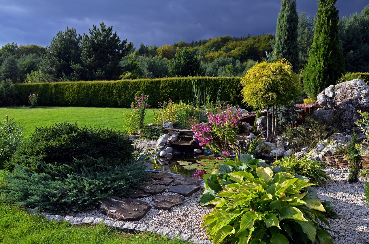 A well kept garden and rockery with yew hedges in the background and hostas closer.