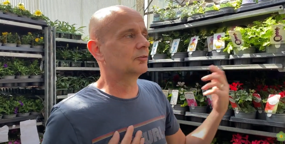 Meadow Croft Garden Centre Director, Mike Smith with bedding plants.